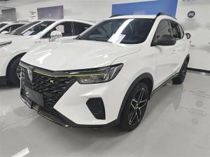 roewe rx5 2024 Petrol