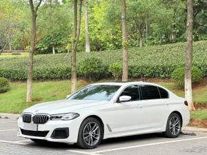 bmw 5 series 2022 Petrol