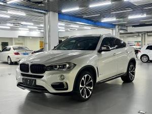 bmw x6 2019 Petrol
