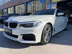bmw 5 series 2019 Petrol