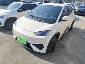 byd seagull 2025 Electric