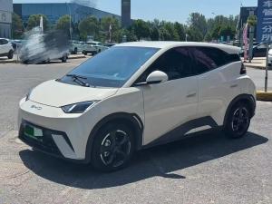 byd seagull 2024 Electric