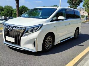 GAC Trumpchi Trumpchi M8 2022 Petrol