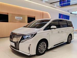 GAC Trumpchi Trumpchi M8 2022 Petrol