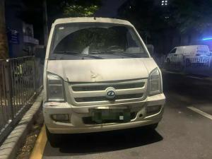  Ruichi EV EC35 2021 Electric