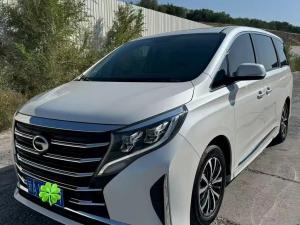 GAC Trumpchi Trumpchi M8 2023 Petrol
