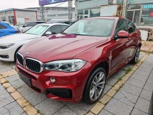 bmw x6 2019 Petrol