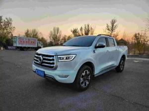 great wall poer 2022 Petrol