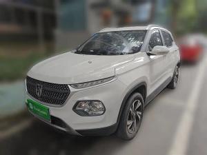 baojun 510 2020 Petrol
