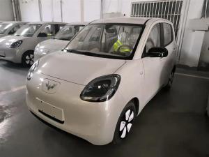 wuling hongguang mini ev 2025 Electric