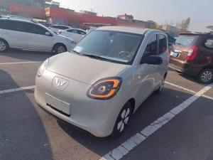 wuling hongguang mini ev 2025 Electric