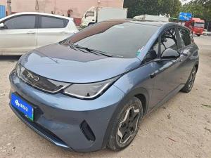 byd dolphin 2025 Electric