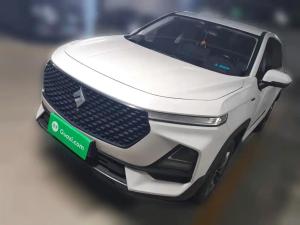 baojun rs-5 2019 Petrol