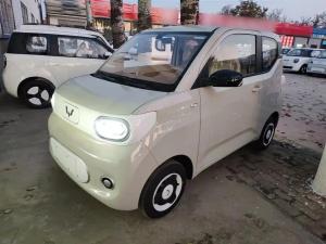 wuling hongguang mini ev 2025 Electric