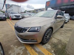 skoda octavia 2019 Petrol