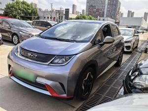 byd dolphin 2022 Electric