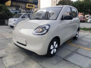 wuling hongguang mini ev 2025 Electric