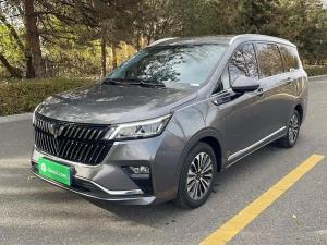 wuling jiachen 2022 Petrol