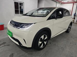 byd dolphin 2025 Electric