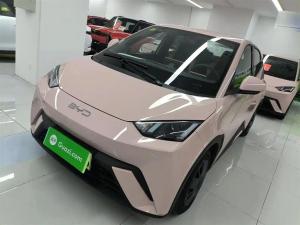 byd seagull 2025 Electric