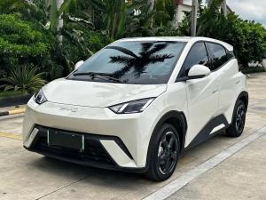 byd seagull 2023 Electric
