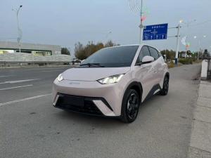 byd seagull 2023 Electric