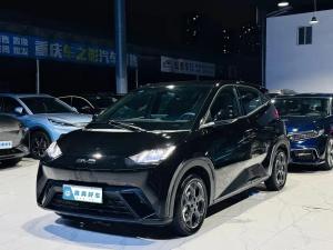 byd seagull 2025 Electric