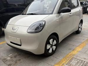 wuling hongguang mini ev 2025 Electric