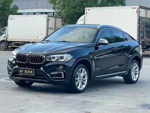 bmw x6 2019 Petrol