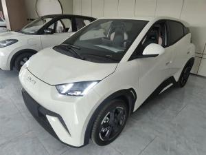 byd seagull 2024 Electric