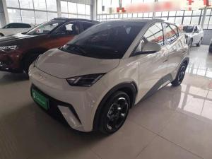 byd seagull 2023 Electric