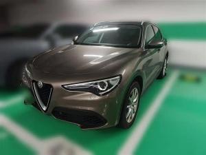 alfa romeo stelvio 2019 Petrol
