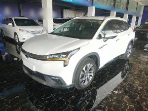 aion lx 2019 Electric