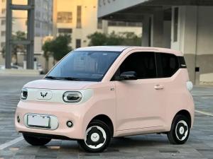 wuling hongguang mini ev 2025 Electric