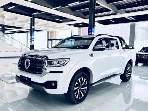 great wall poer 2023 Petrol
