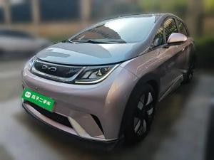 byd dolphin 2022 Electric
