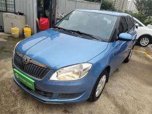 skoda fabia 2015 Petrol