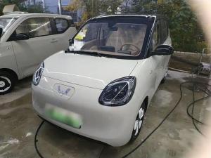 wuling hongguang mini ev 2025 Electric