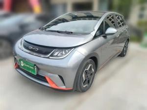 byd dolphin 2022 Electric