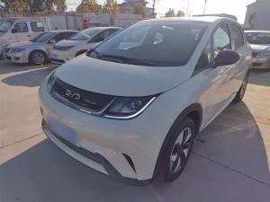 byd dolphin 2025 Electric