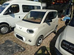 wuling hongguang mini ev 2025 Electric