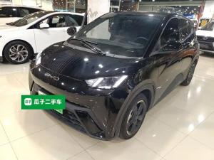 byd seagull 2023 Electric