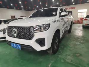 great wall poer 2024 Petrol