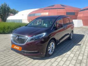 buick gl8 2020 Petrol