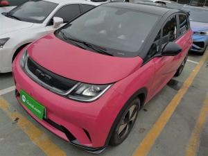 byd dolphin 2023 Electric