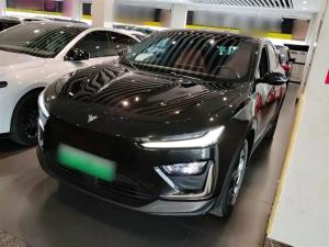 neta x 2024 Electric