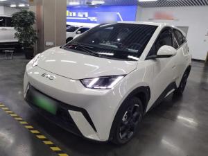 byd seagull 2024 Electric
