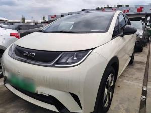 byd dolphin 2024 Electric