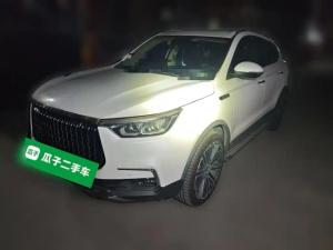 leopaard mattu 2018 Petrol
