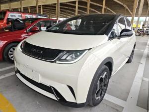 byd dolphin 2023 Electric